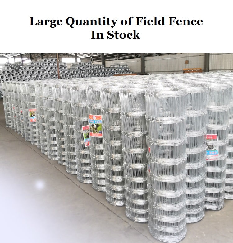 field fence in stock